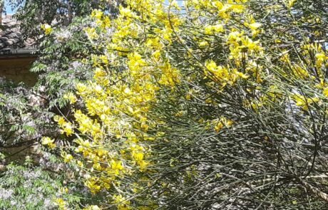 Vacation tips for Tuscany in April Spring in a holiday home in Tuscany, Italy