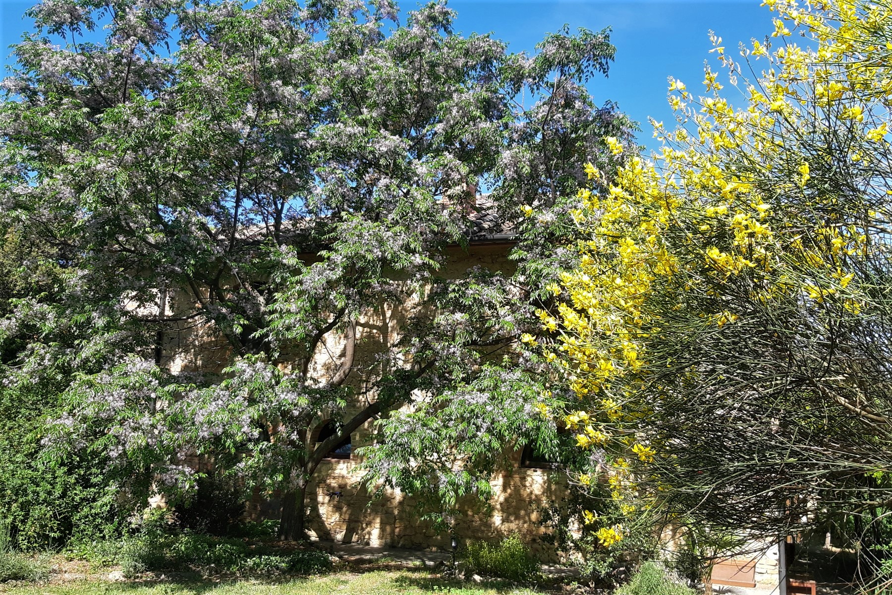 Spring in a holiday home in Tuscany, Italy