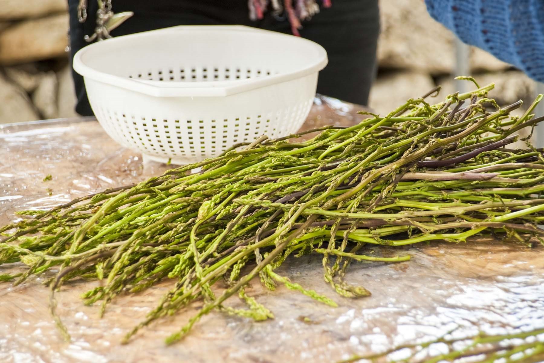 Organic vegetables in Tuscany Italy wild asparagus