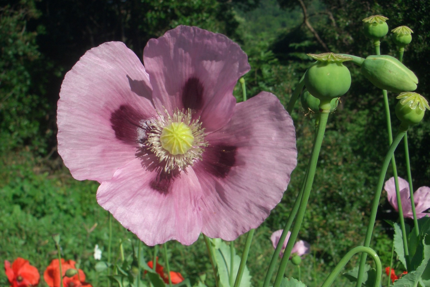 Spring in Tuscany holiday home