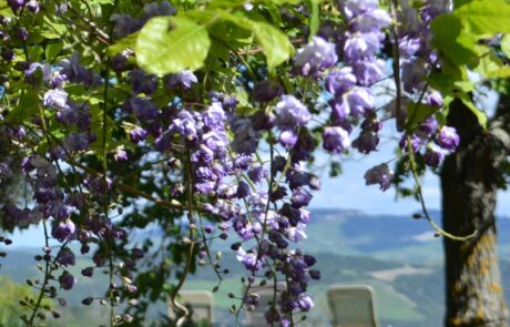 Advice on when to visit Tuscany: which season? Apartment in Tuscany with terrace in spring
