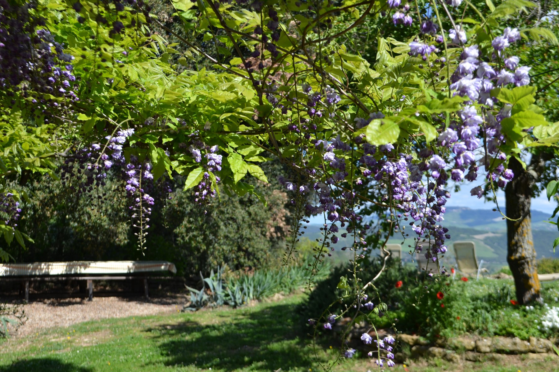 Apartment in Tuscany with terrace in spring