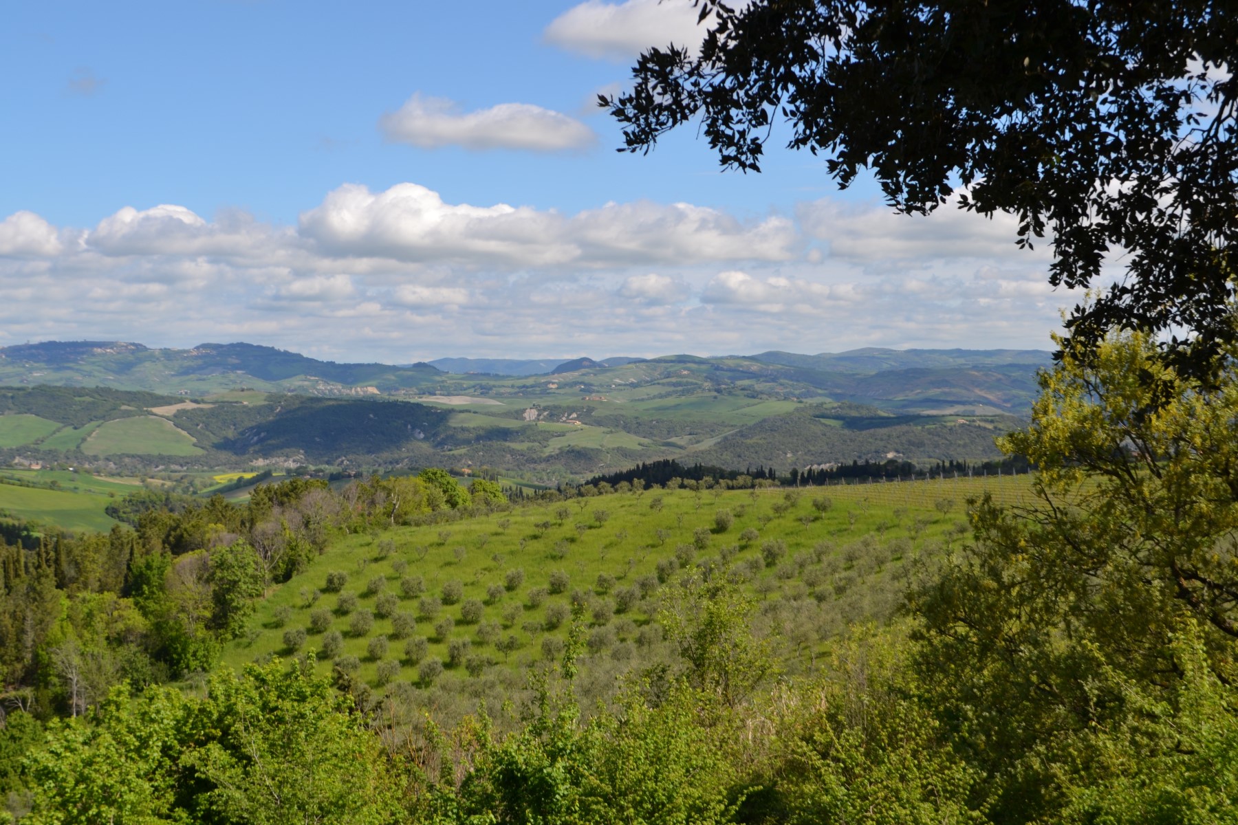 Tuscany in spring holiday apartment
