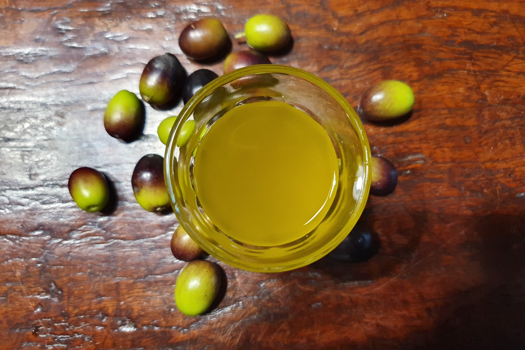 Olive oil from Italy: freshly pressed oil at the holiday home in Tuscany.