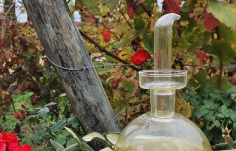 Olive oil from Tuscany, Italy: freshly pressed oil. Olive oil from Tuscany, Italy: freshly pressed oil in autumn.