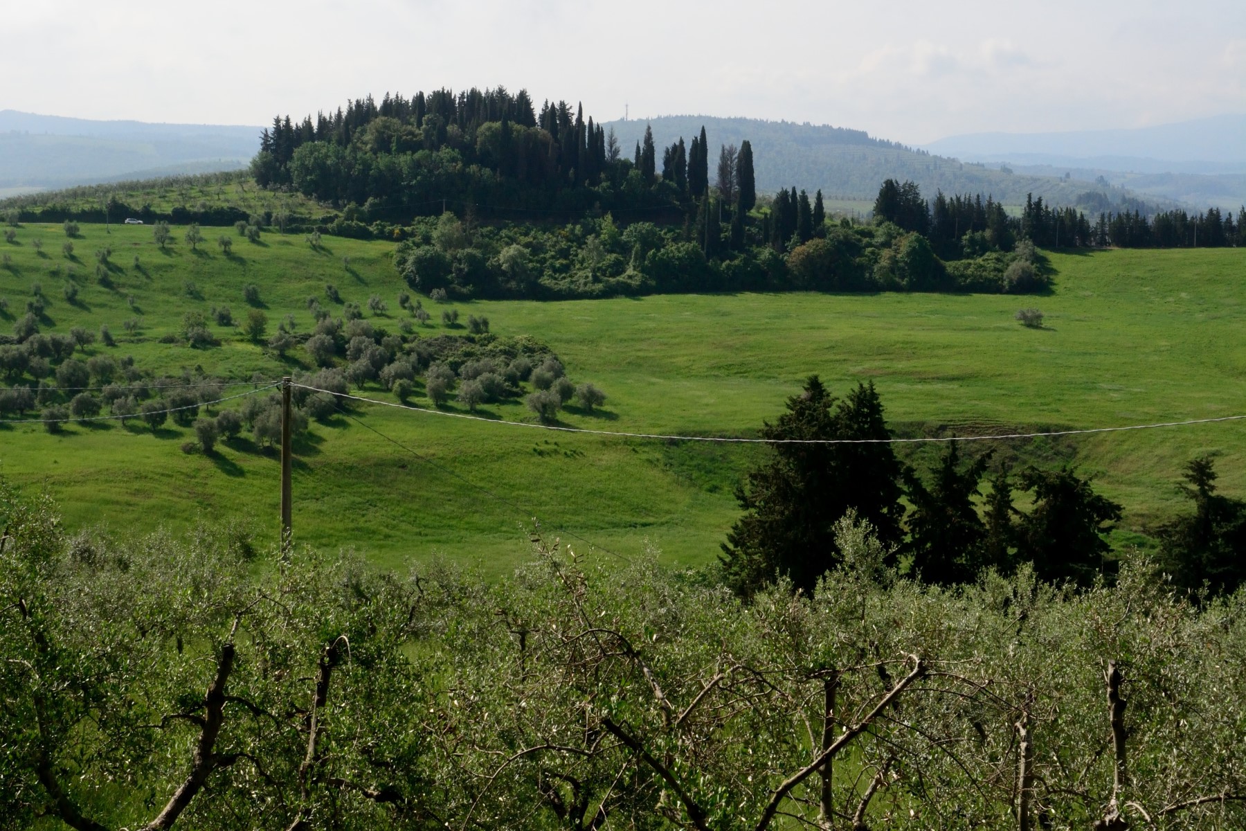 Countryside vacation in Tuscany in spring.