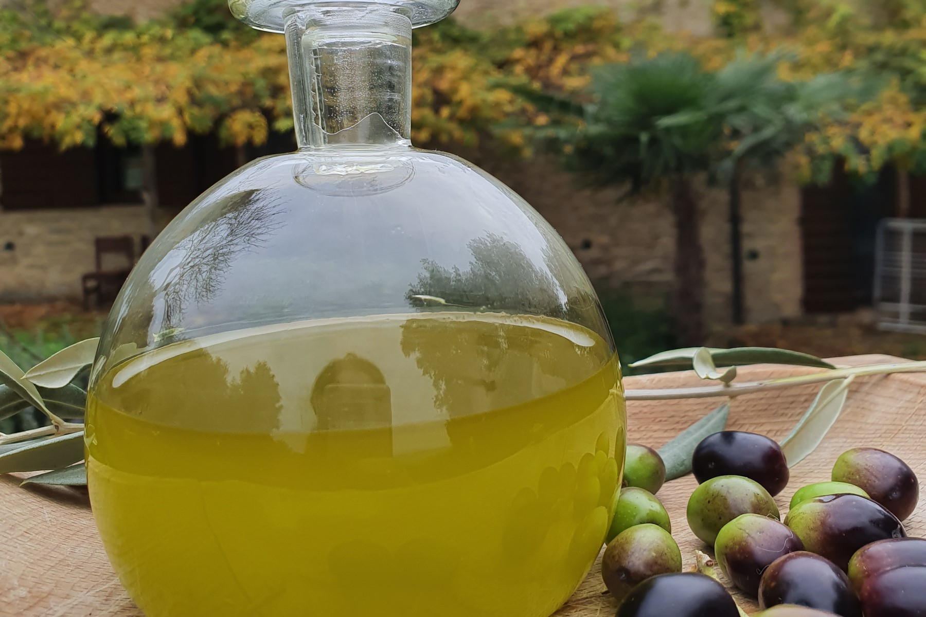 Olive oil from Tuscany, Italy: freshly pressed olive oil, holiday home.