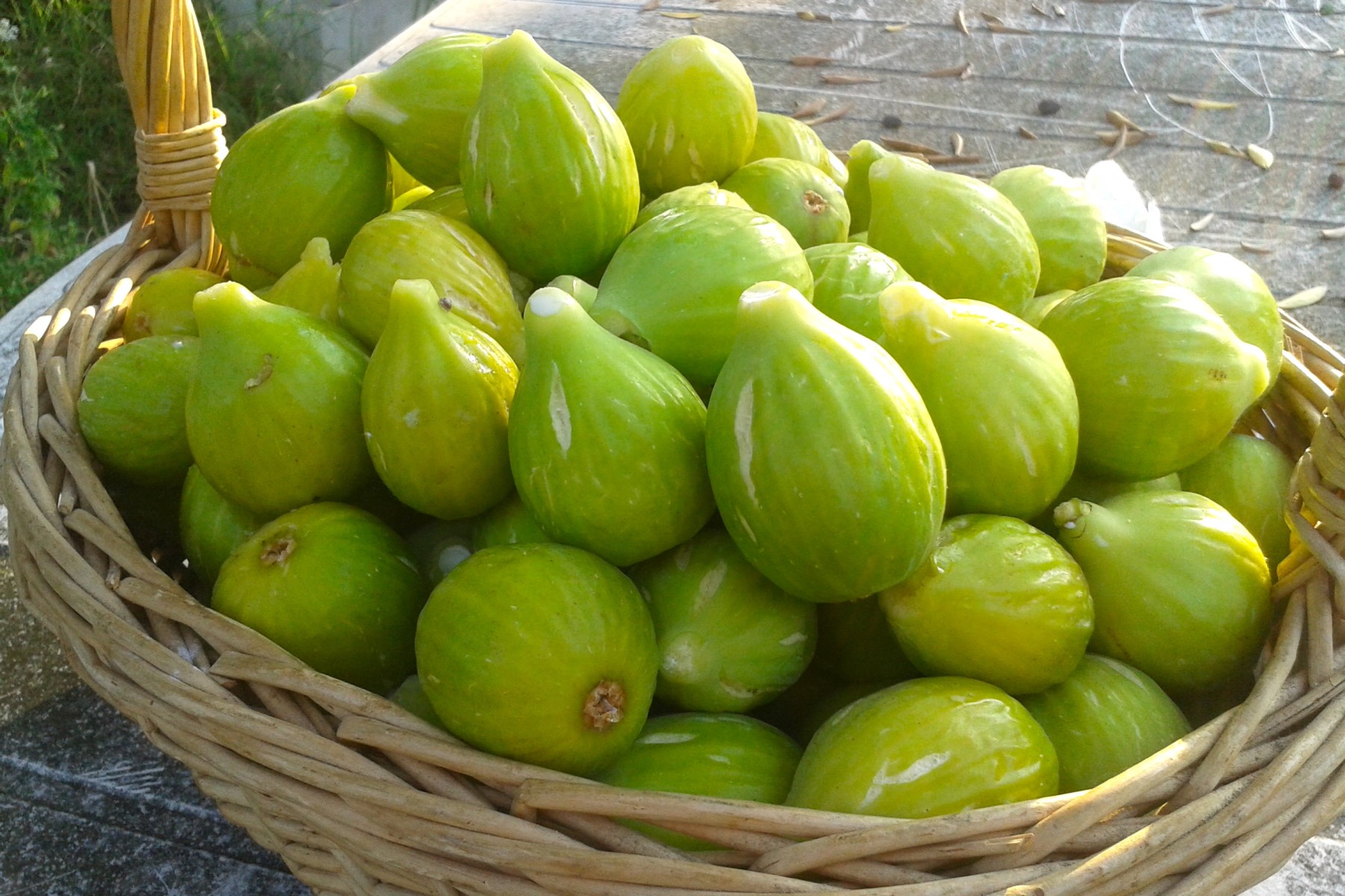 Organic fruits in Tuscany Italy figs