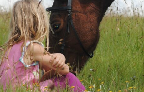 Ferienhaus Tiere Toskana Pferd und Kind