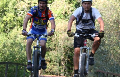 Biking Italien MTB Tour über Brücke im Wald