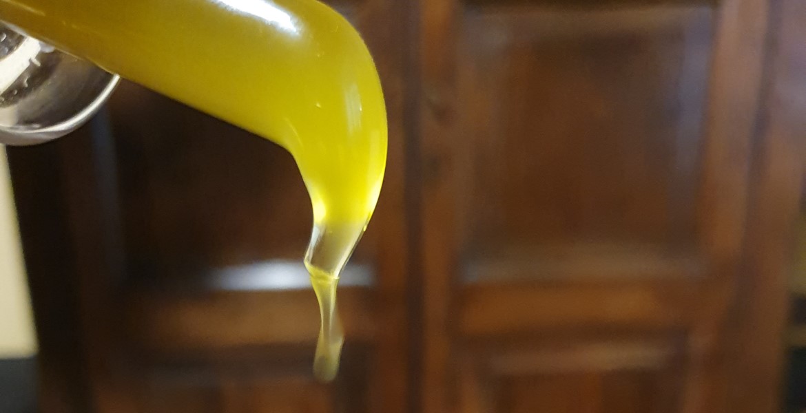 Bauernhof Toskana bestes Bio Olivenöl