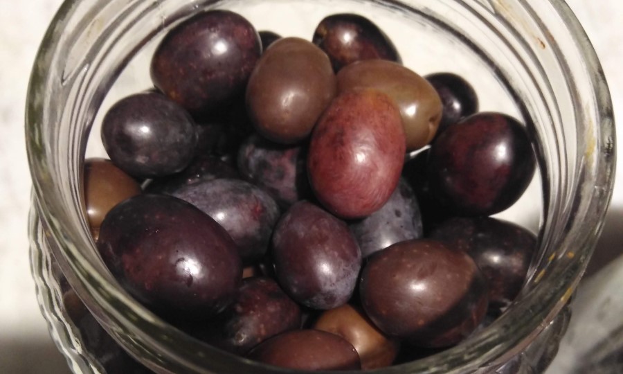 schwarze Oliven Toskana zum Essen im Glas