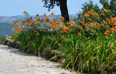Ferienwohnung mit Pool Toskana Poolrand Natursteine Blumen
