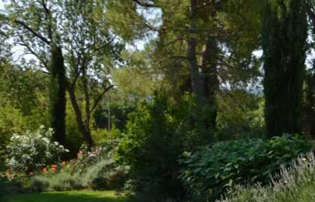 Toskana Garten im Ferienhaus Podere Palazzone