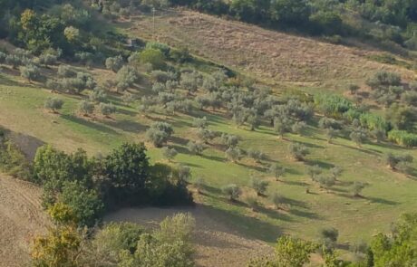 Toskana Landschaft Pferdekoppel bei Volterra San Gimignano