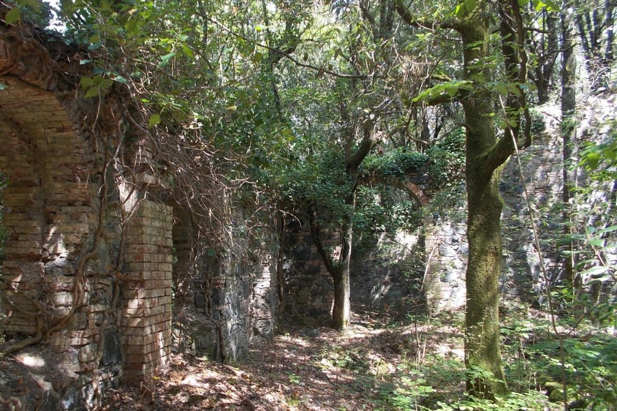 Ruine Toskana im Naturschutzpark Monterufoli