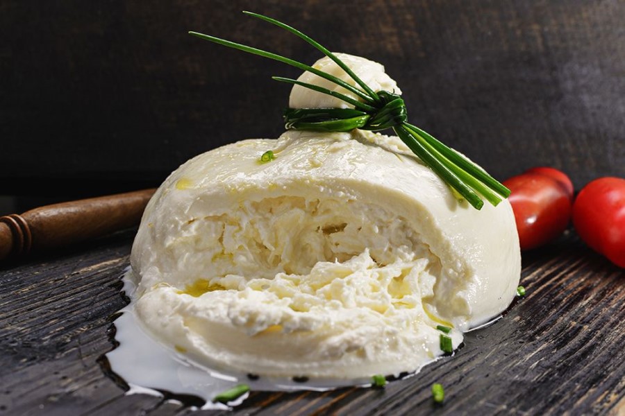 Küche Toskana Burrata vegetarische Hauptspeise