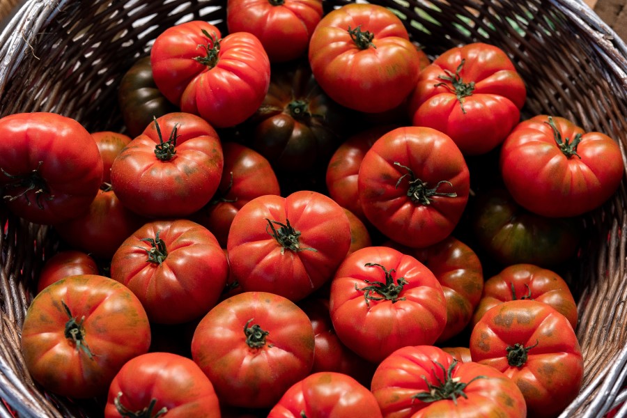 Küche Toskana Beilage Tomaten
