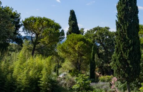 Toskana Garten rund um das Ferienhaus mit Pool