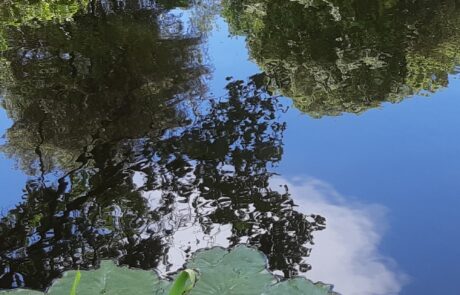 Toskana Garten mit Teich am Ferienhaus