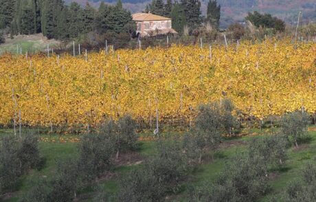 Agriturismo in der Toskana Urlaub im Herbst