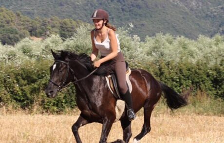 Reiten Toskana Reiter mit Pferd Olivenbäume und Burg