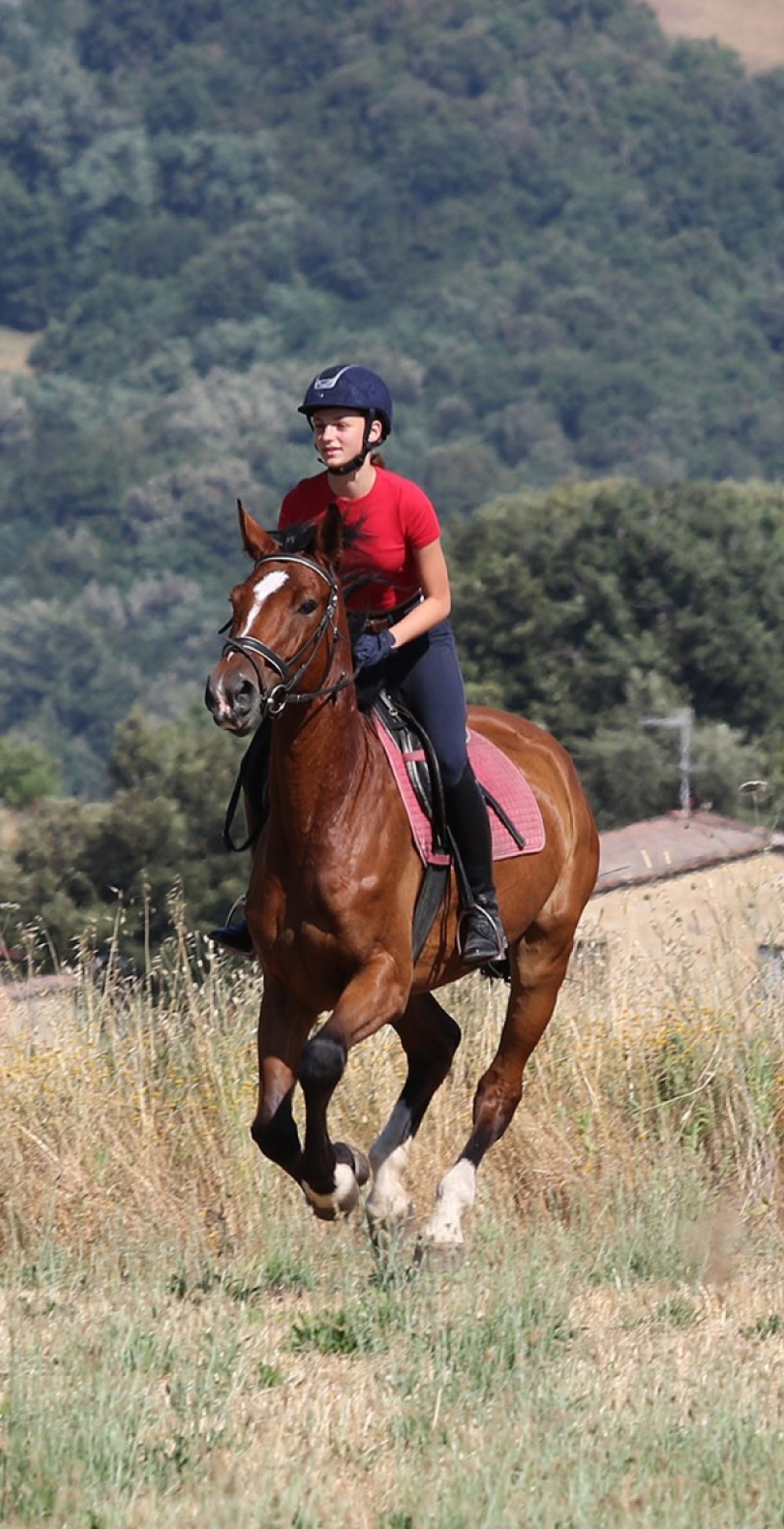 Reiten Toskana Pferd auf Feld und alter Bauernhof