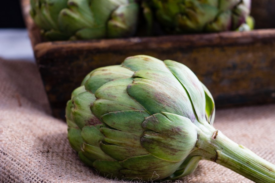 vegetarische Küche Toskana Italien Artischocken