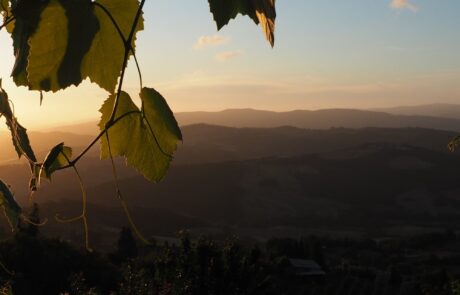 Toskana Stadt Radicondoli Hügel im Sonnenuntergang