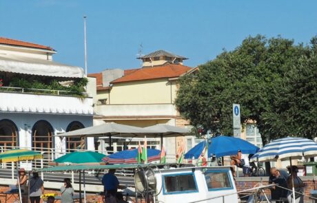 Meer Toskana Fischmarkt Viareggio