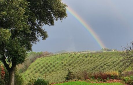 Winter in der Toskana Blick auf Regenbogen