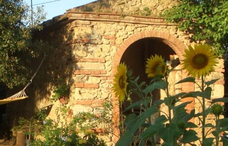 holiday home tuscany oven house and sunflowers