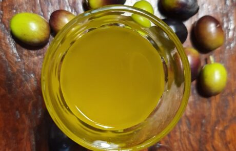 Olivenöl Italien frisch gepresst im Ferienhaus Toskana
