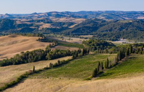 Wandern Toskana Landschaft beige Felder Weinberg Hügel
