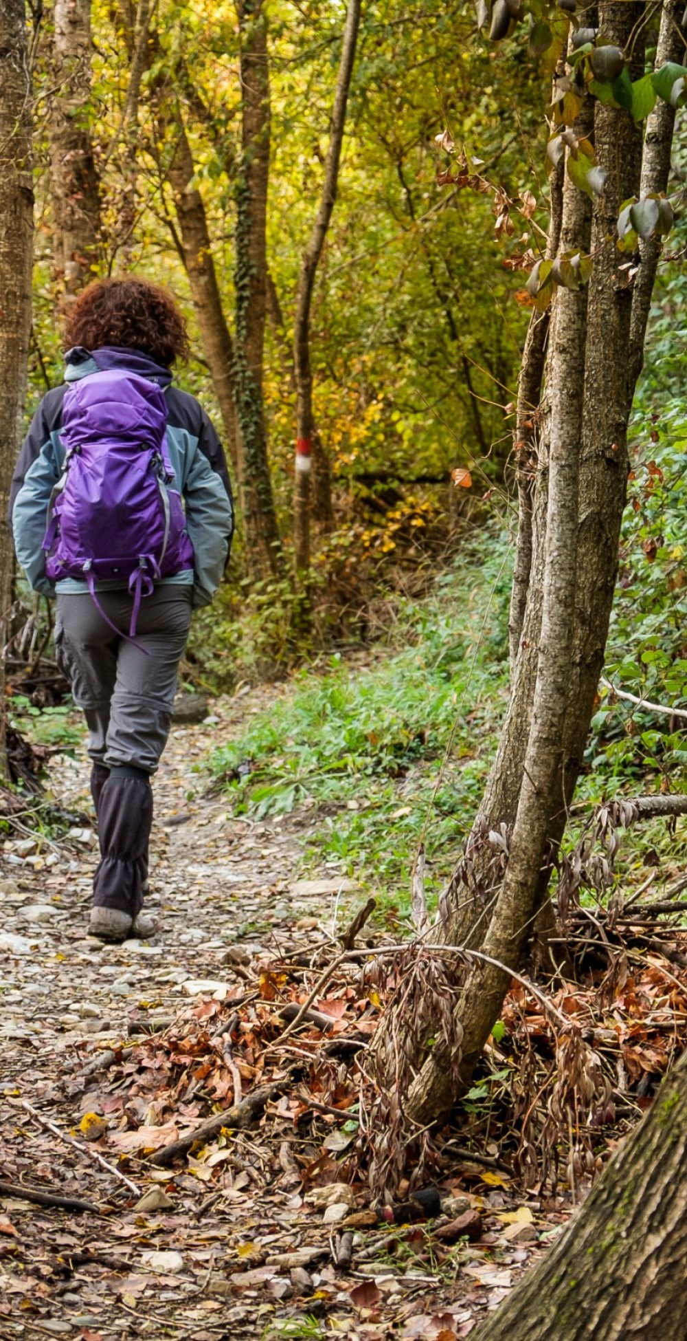 Wandern Toskana authentische Macchia im Wald