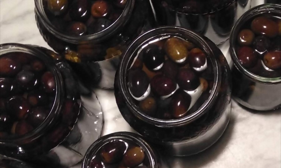 schwarze Oliven Toskana eingelegt in salamoia Salzwasser