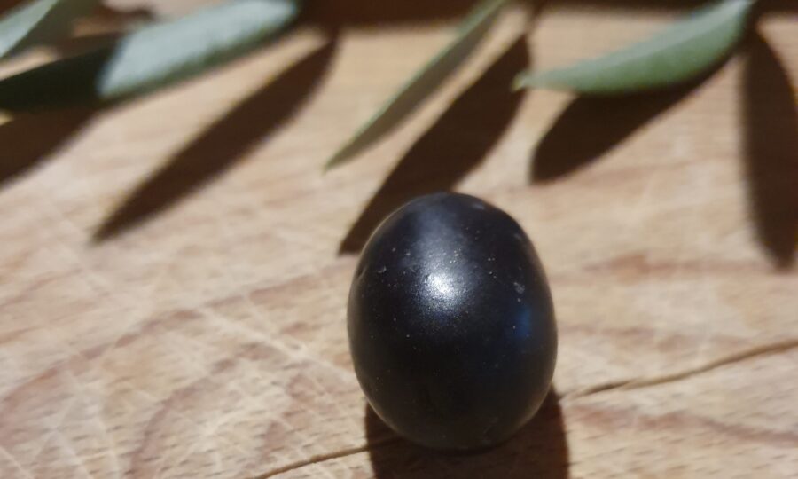 schwarze Olive Toskana auf Holz